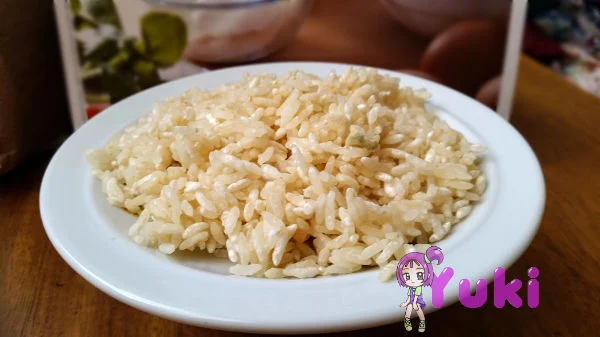 Arroz fermentado com Aspergillus Oryzae