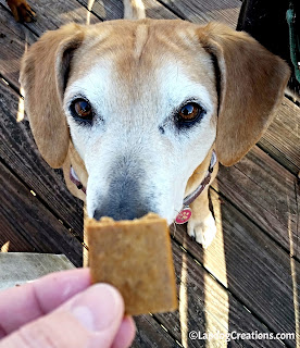 Sophie thinks Evanger's Jerky Treats are little morsels of heaven!  - #Evangers #DogFood #DogTreats #LapdogCreations ©LapdogCreations
