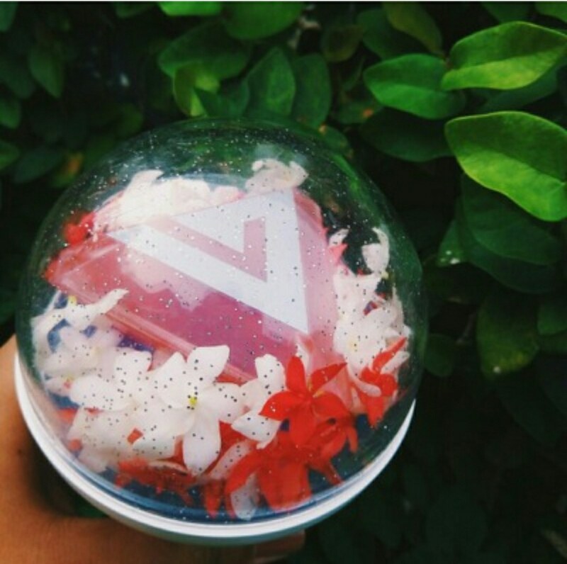 Seventeen fans' lightstick customization KPOP, KFANS