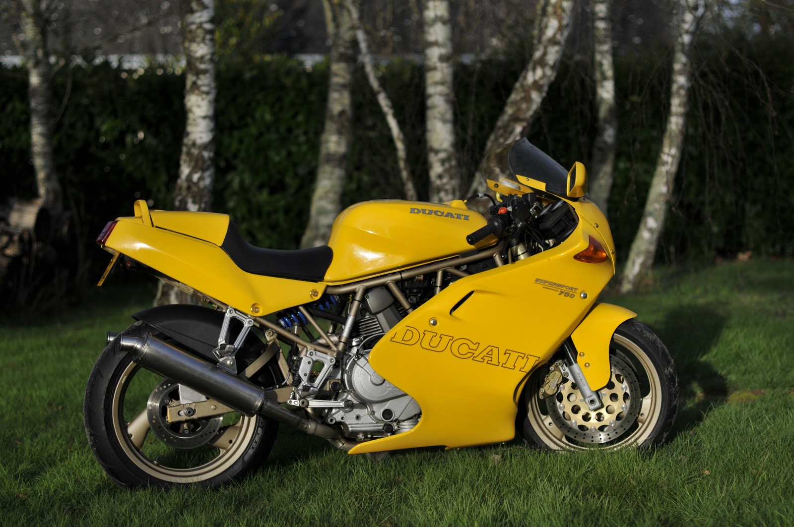ducati 750ss for sale