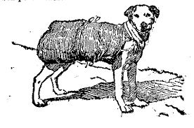 alt="antigua ilustración mostrando un perro dedicado al contrabando"
