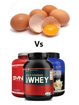 Egg White Protein Vs Whey Protein: Which is Best? ~ www.bodybuilding110.com