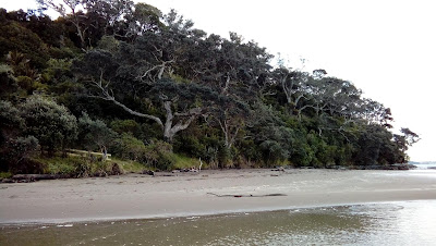 Intercâmbio Nova Zelândia – Passeio pela praia Long Bay
