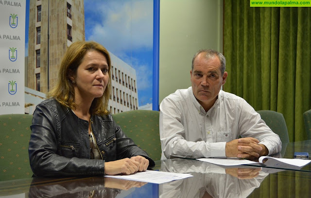 El Cabildo solicita al Gobierno de Canarias  medidas que impulsen el desarrollo de las viviendas vacacionales