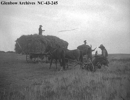 Heroes, Heroines, and History: Alberta Ranch: Summer Haying