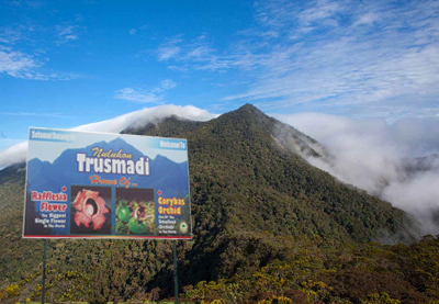 5 Puncak Tertinggi Di Malaysia
