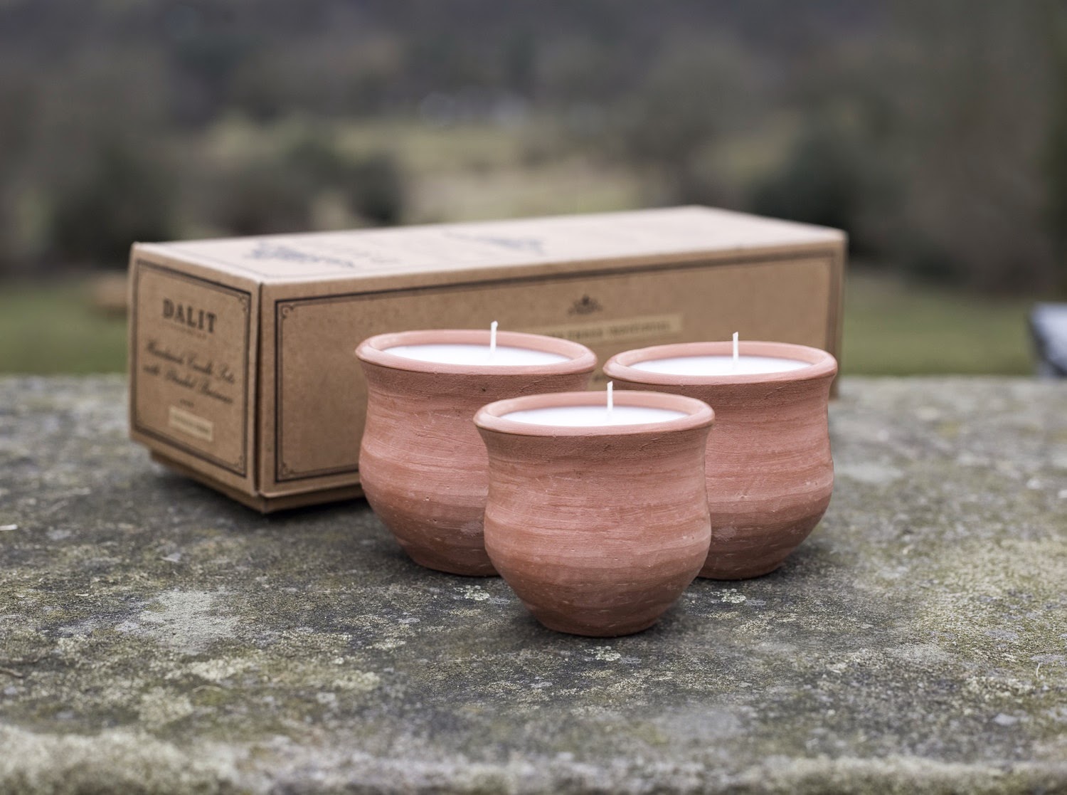 Dalit Candles The Arbour Florist