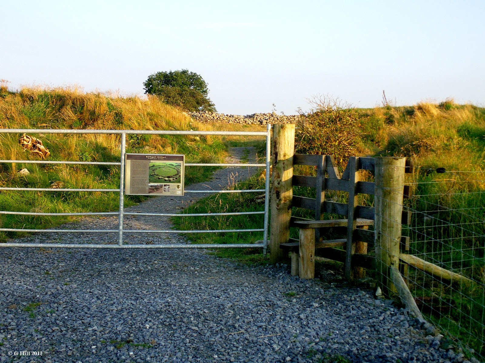 Ireland In Ruins: The Ring Of Rath Co Wicklow