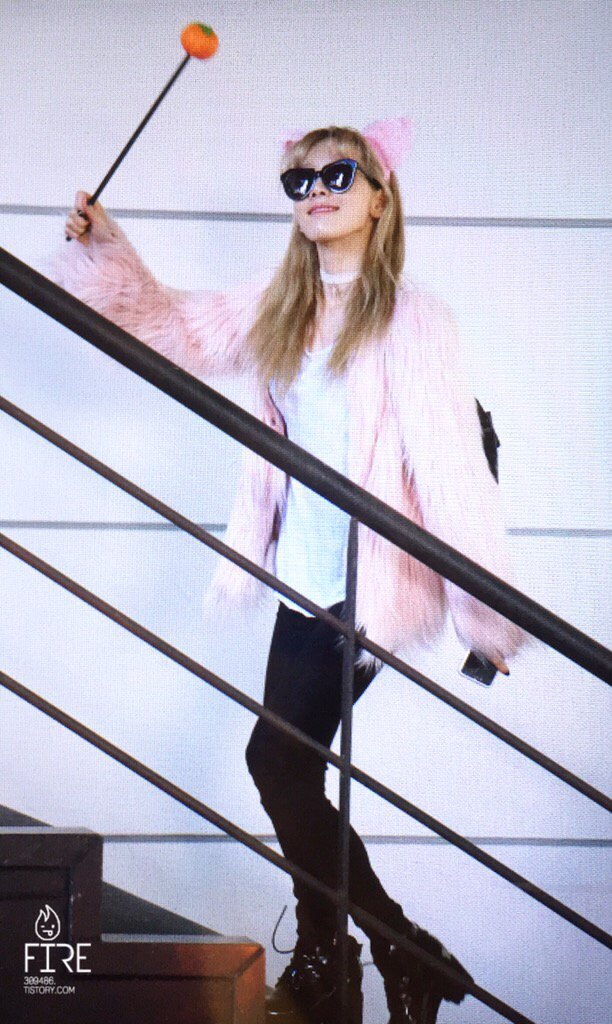 오늘 태연 출근길 (냥이코스프레) | 인스티즈