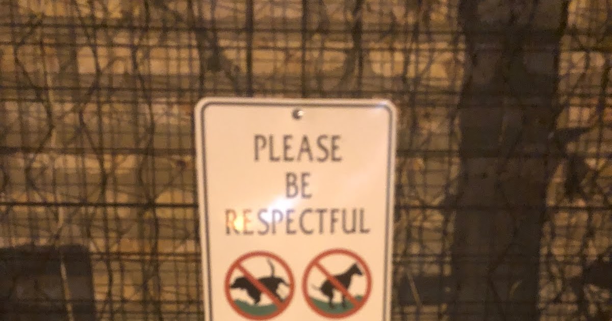 Sloopin A South Loop Blog Can People Put Up Their Own Signs in a