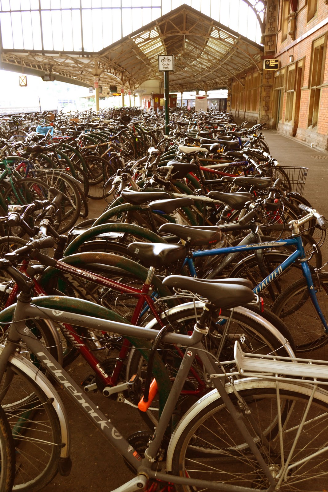 Bella's Picture Diary