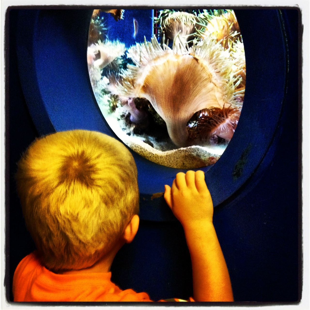 Blue Skies Ahead: Field Trip Thursday...Aquarium Scavenger Hunt