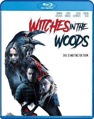 Witches In The Woods 2019 Bluray