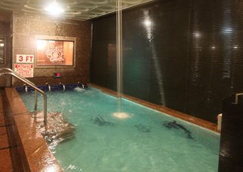 King Spa Dallas: The Naked Truth - Garnerstyle