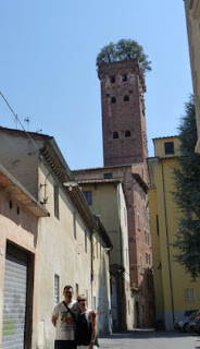 Lucca, Torre y el Palacio Guinigi. Lucca, Torre y el Palacio Guinigi.