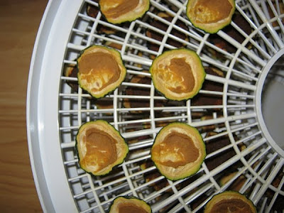 zucchini chips after dehydration