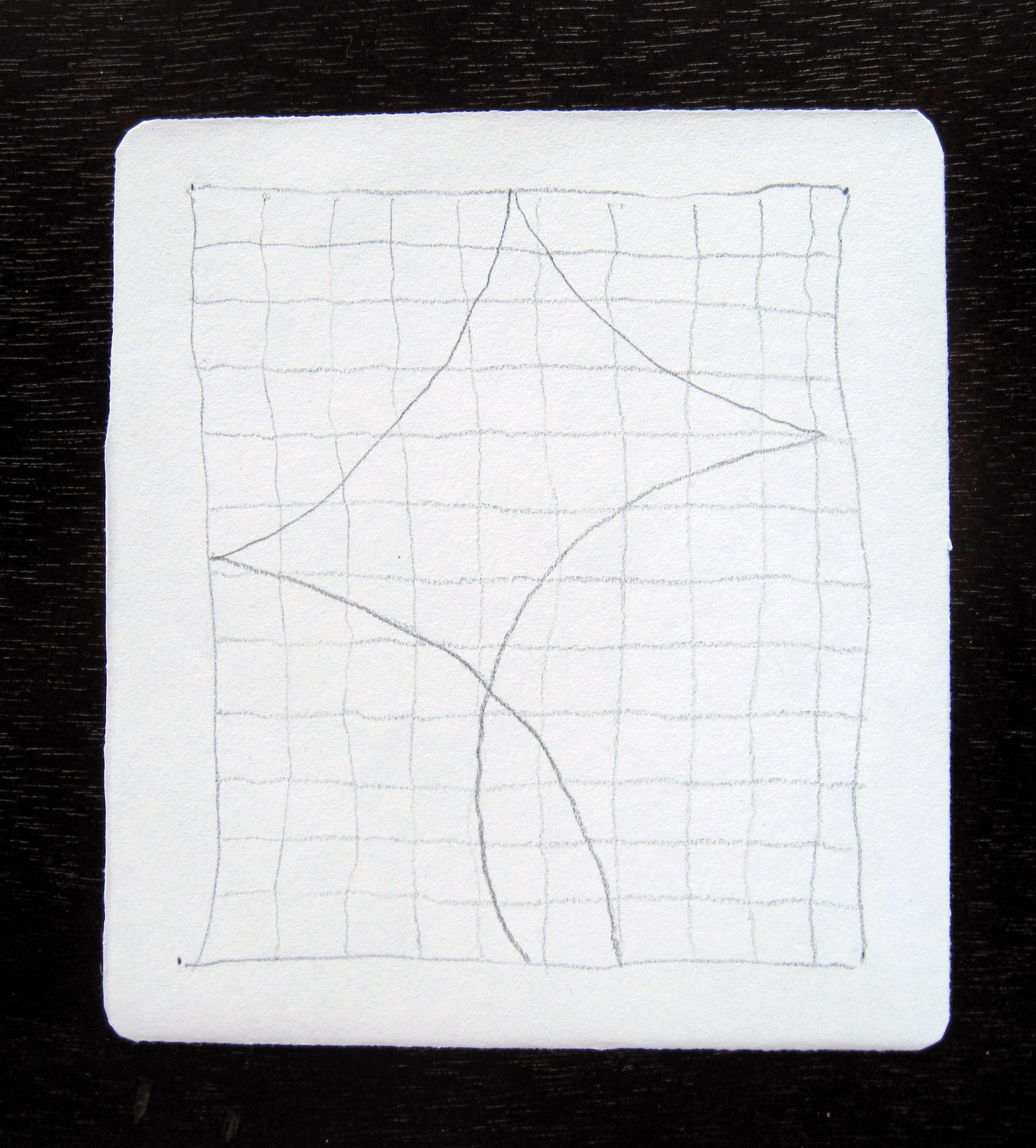 What Tangled Webs!: A Grid Tangle in sequence