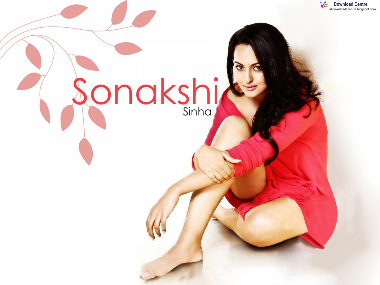 http://2.bp.blogspot.com/-izaYgHkKabo/TvsEo6hYoGI/AAAAAAAACck/T-WBG2gHH7Y/s1600/Sonakshi+Sinha+in+Red+Dress+Wallpaper.jpg
