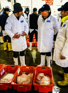 Through the Gaps Newlyn Fishing News: 01/01/2016 01/02/2016