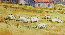 watercolor winter farm step scene sheep paintings painting lesliefehling watercolour lambs