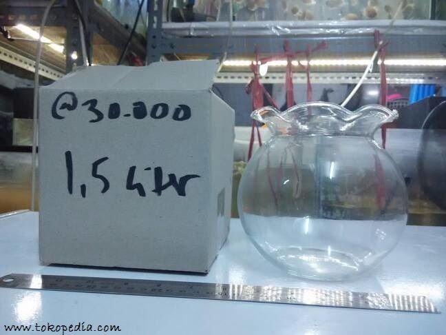 Gambar Harga aquarium bulat ukuran / berkapasitas 1,5 air.