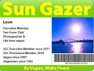 Sun Gazer Club