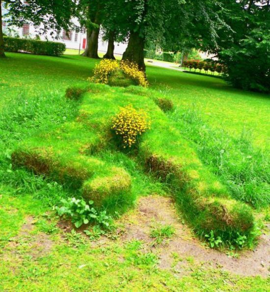 Las Fotos Mas Alucinantes: jardin con flores