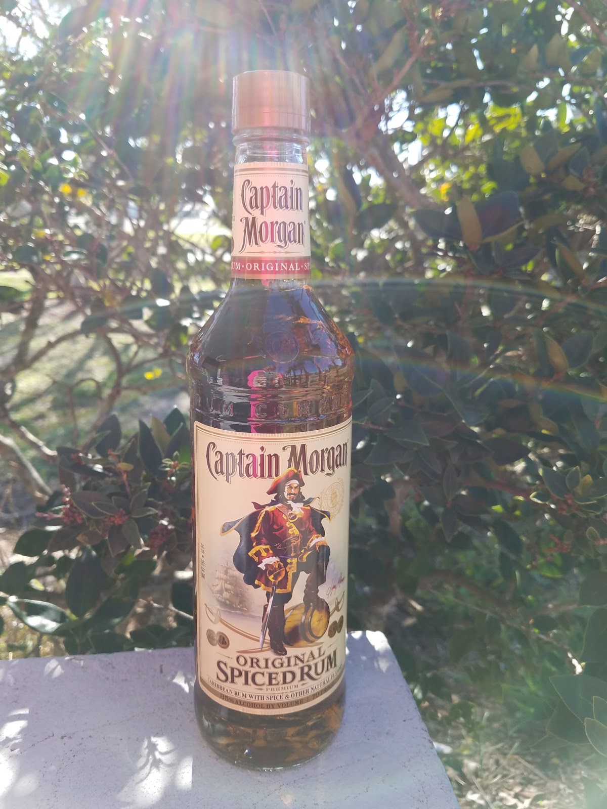 The ABCD Diaries Delicious Rum Cake Featuring Captain Spiced Rum!