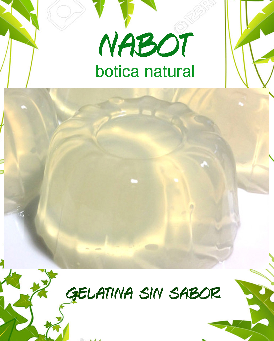 Lista 102+ Foto Cual Es La Gelatina Sin Sabor Lleno