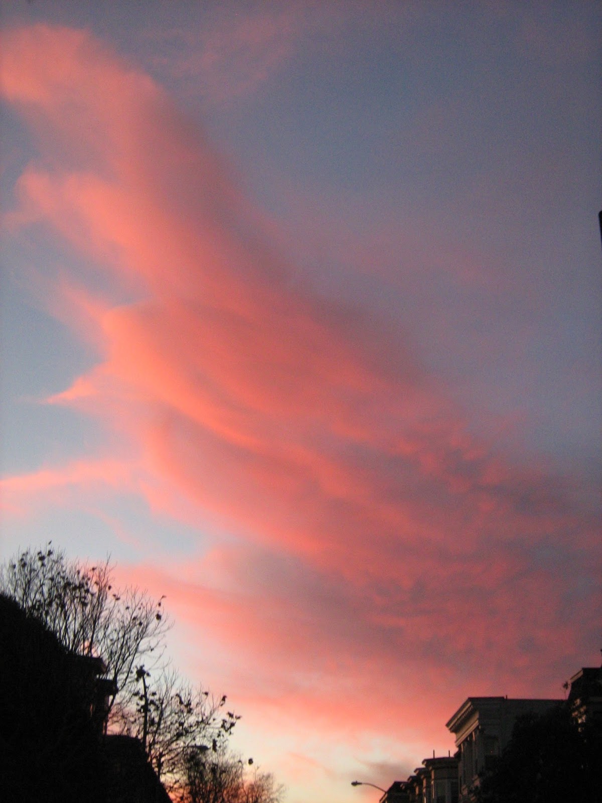 The beauty of a sunset essay picture