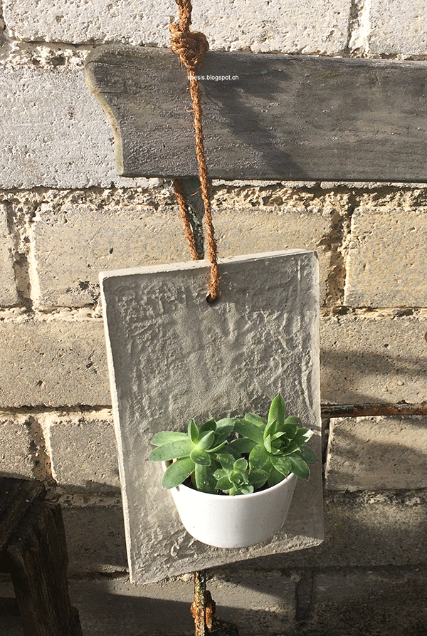 Upcycling Setzkasten Ein Neues Zuhause Fur Den Hauswurz