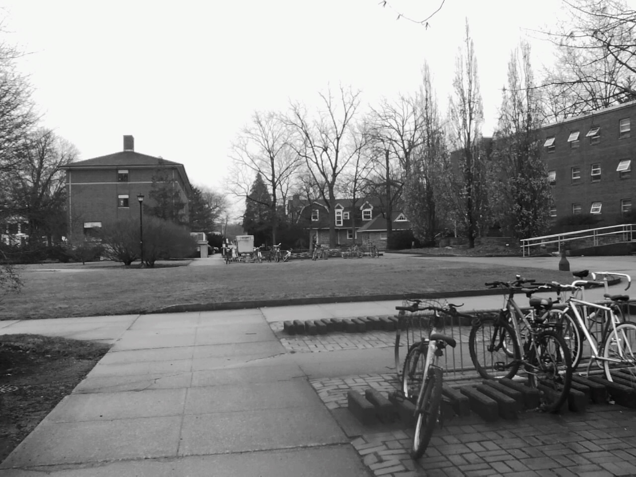 An empty quad, looking somewhat stark with no leaves on the trees. Black & white photo.