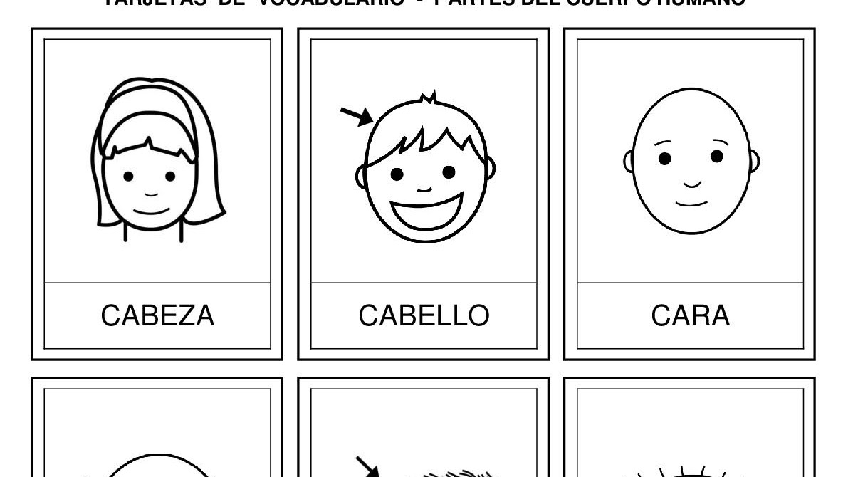 Partes Del Cuerpo Para Colorear