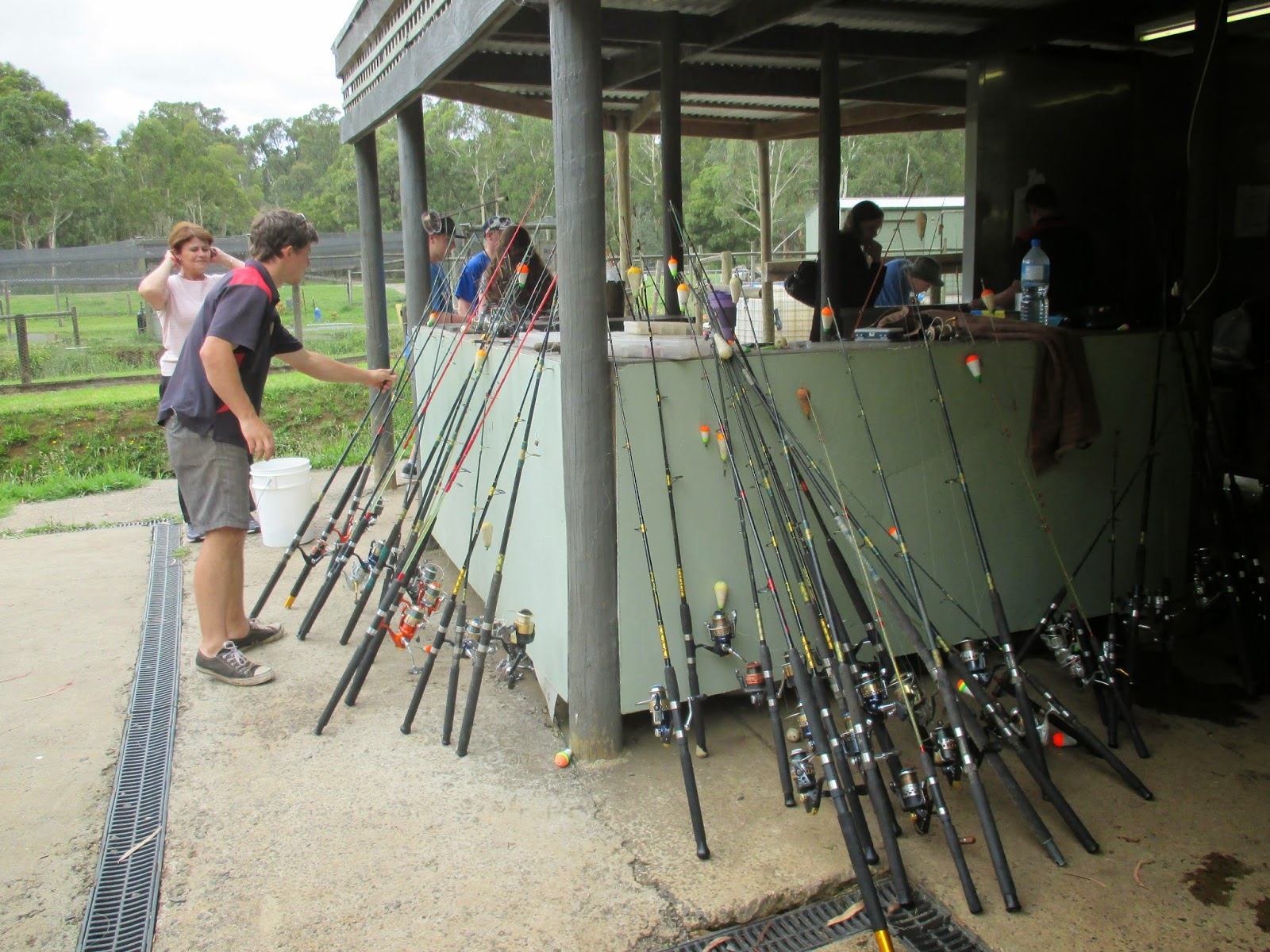 Konted's Make My Day 2 Trout Fishing at Mount Dandenong