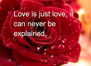 Happy Rose Day 2017 Images & Wallpaper Happy Rose Day 2017 Images & Wallpaper