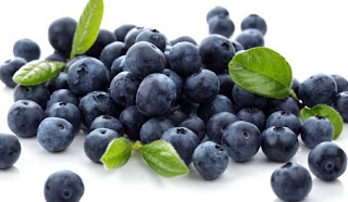 Manfaat Buah Blueberry Bagi Kesehatan Tubuh