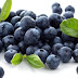 15 Manfaat Buah Blueberry Bagi Kesehatan Tubuh