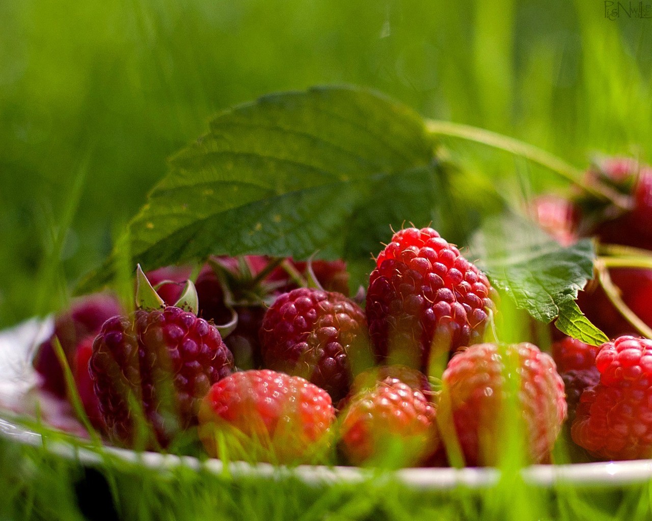 Beautiful Fruits Beautiful Wallpapers Beautiful Fruits Wallpapers