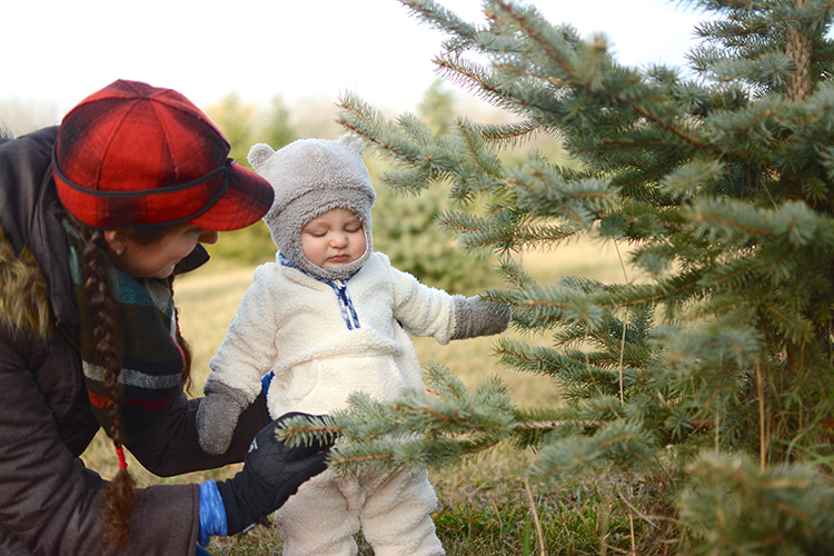 2017 Christmas Tree Hunting | My Darling Days 2017 Christmas Tree Hunting | My Darling Days