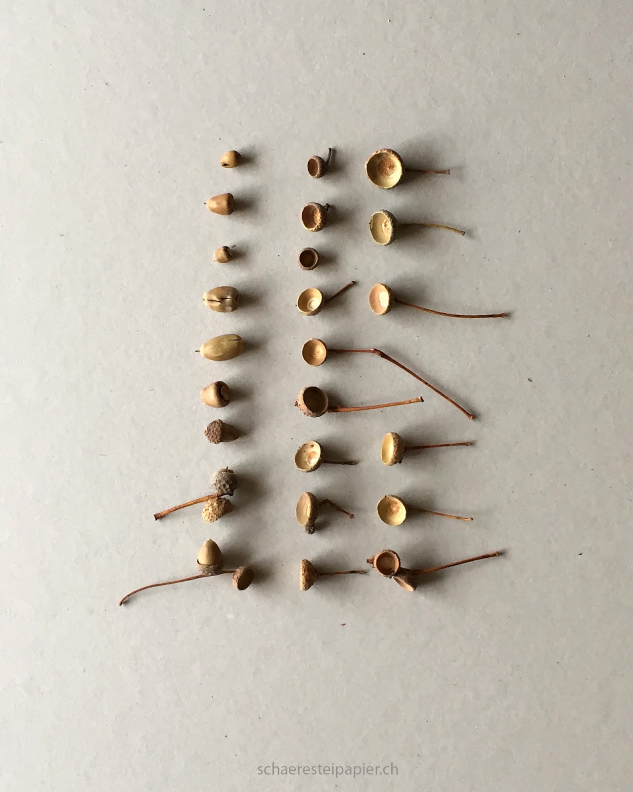 Schaeresteipapier September 2015