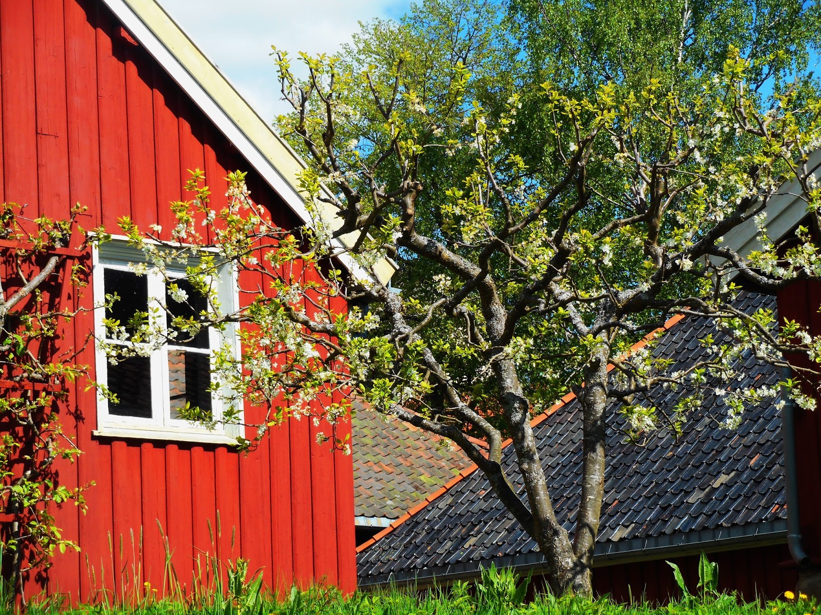 Norwegian language visual data 7