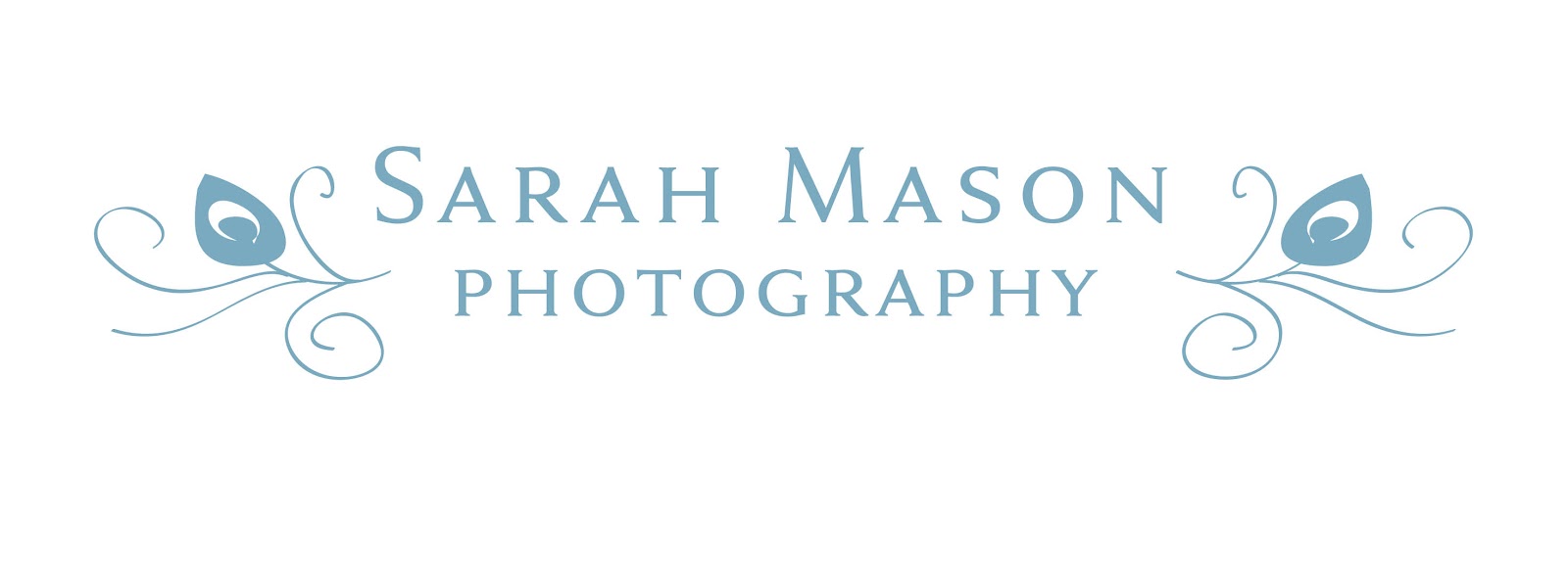 Sarah Mason Photography: The Journey Continues