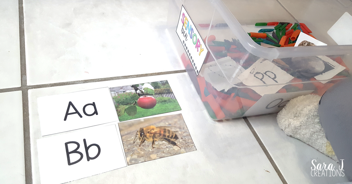 Letter N Activities  Sara J Creations