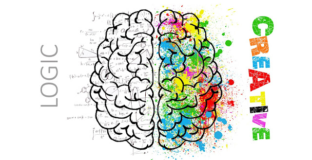 Learn more about the structure of the brain Learn more about the structure of the brain