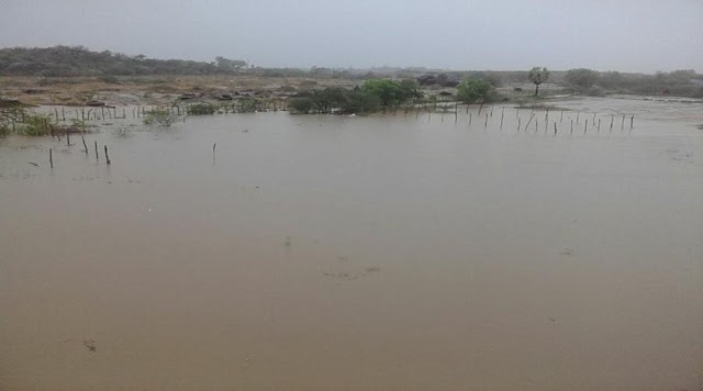 Chuvas passam 230mm, em Itaporanga; rios recebem águas e açudes sangram.