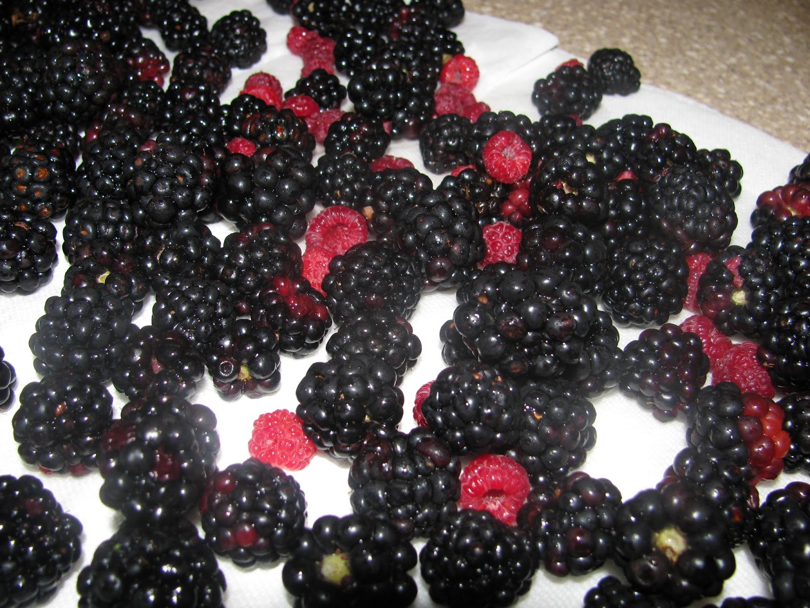 The Harried Homemaker Preps The Easiest Fruit to Grow for Survival