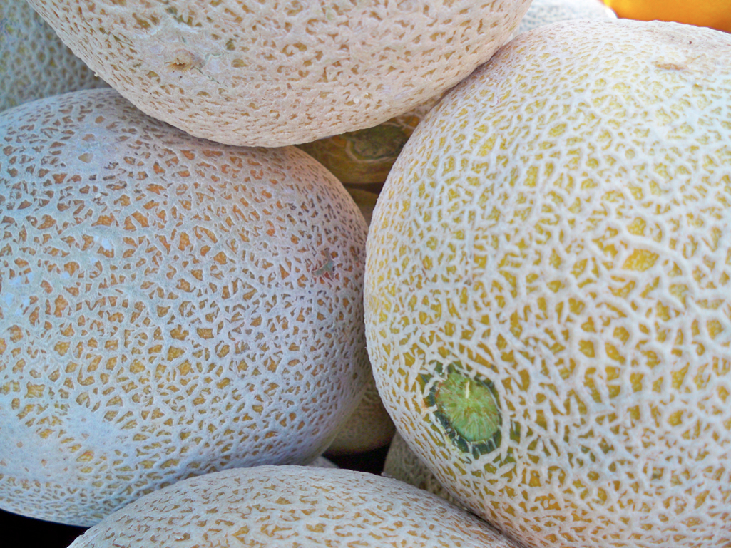 the Produce Clerk's Handbook: How To Handle Cantaloupe