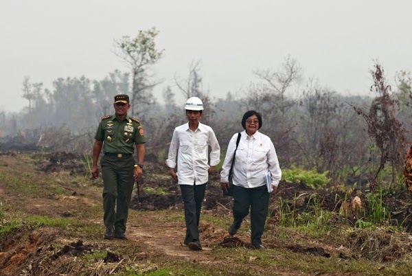 FOTO: Jokowi Tinjau Lokasi Kebakaran Hutan di Kabupaten Kampar