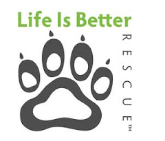 Life is Better Rescue