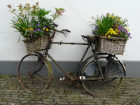 Bicicleta Velhinha